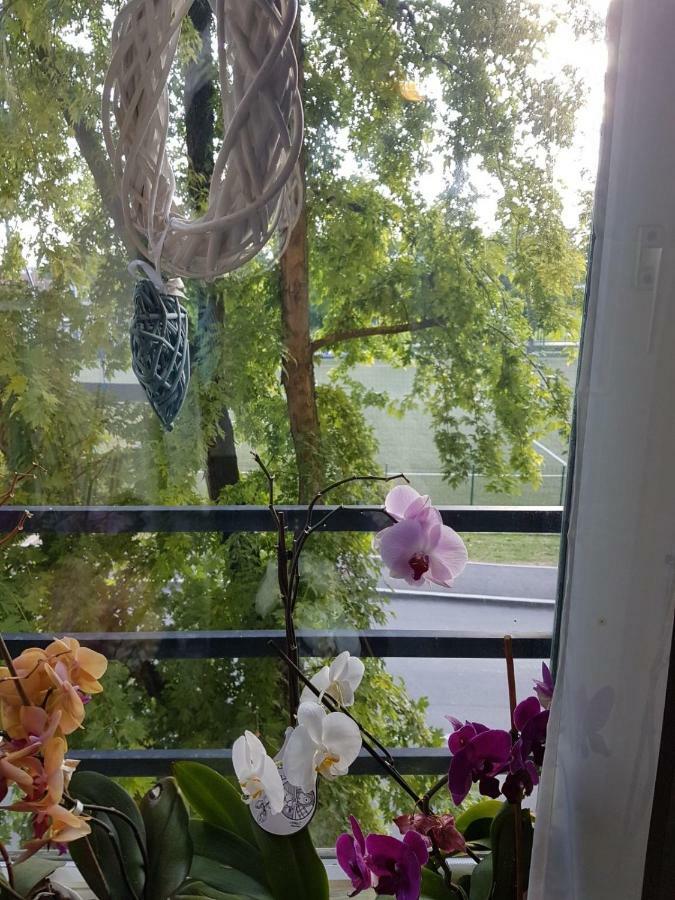 Studio Apartman Zagreb Zapad Vrapce מראה חיצוני תמונה
